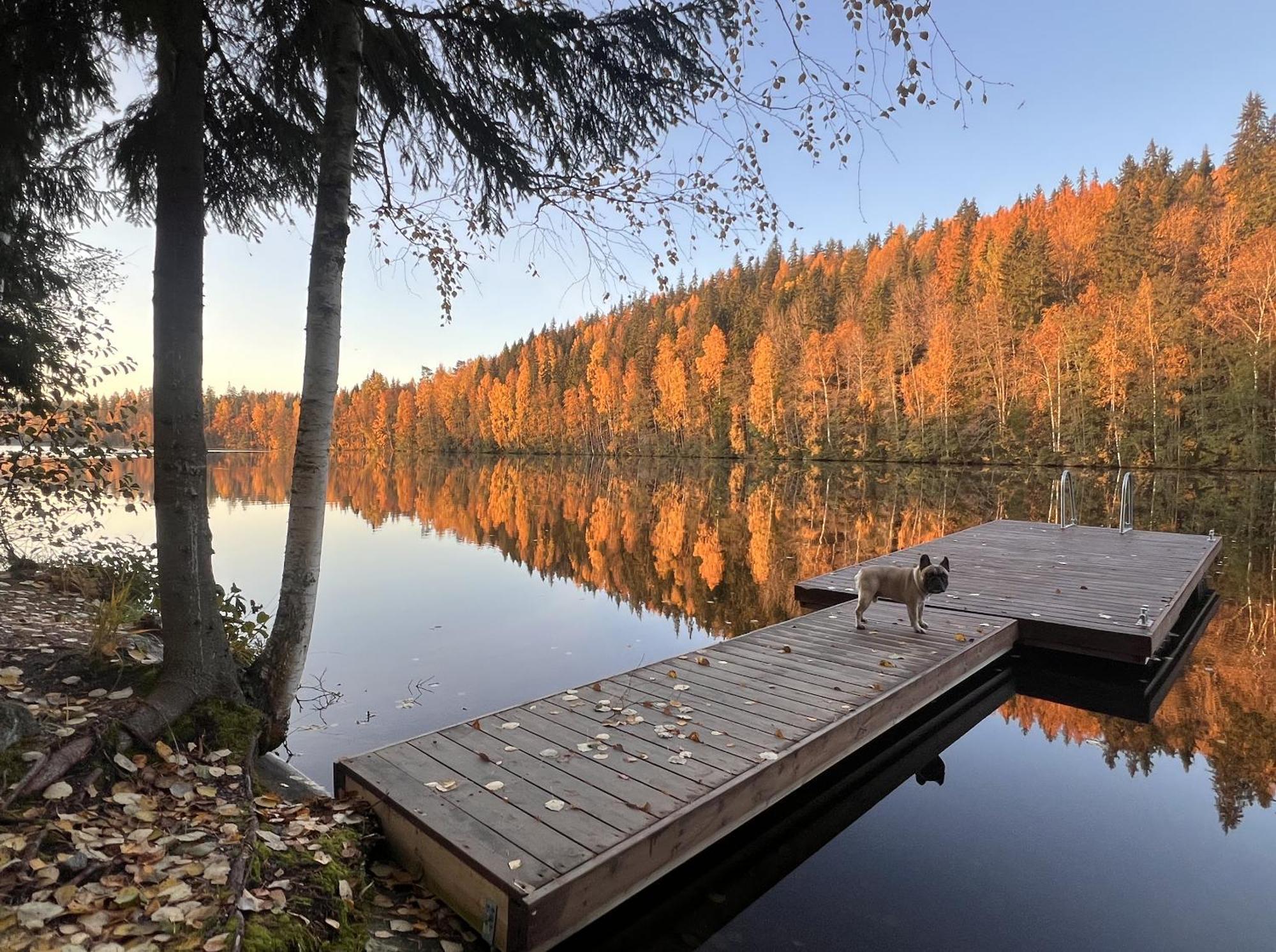Vila Iken Moekit Heinola Exteriér fotografie
